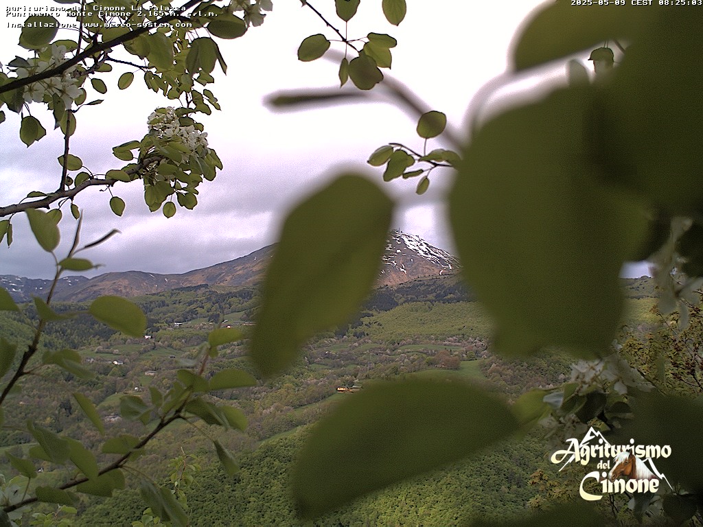 webcam Canevare di Fanano